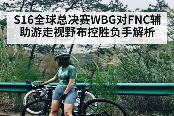 S16全球总决赛WBG对FNC辅助游走视野布控胜负手解析